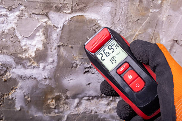 Best Mold Remediation for Schools in Thomasboro, IL