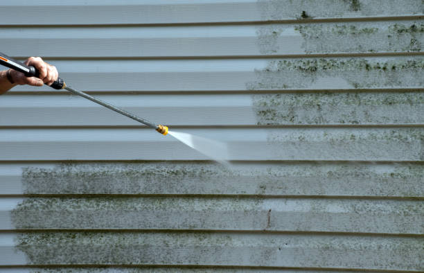 Best Emergency Mold Remediation in Thomasboro, IL