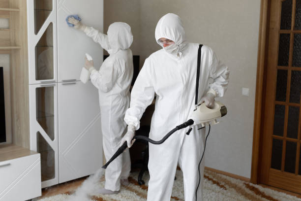 Best Industrial Mold Remediation in Thomasboro, IL