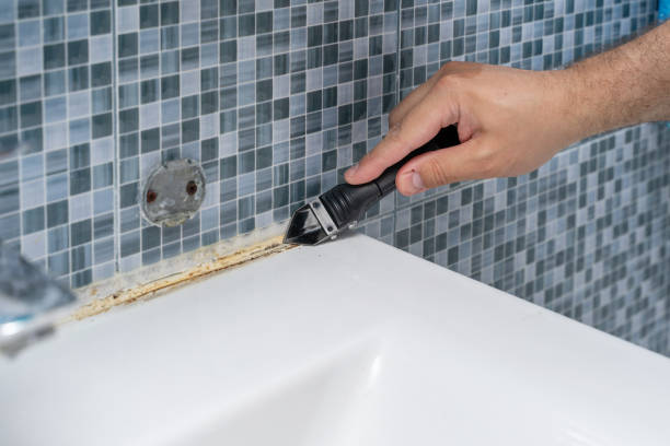 Best Basement Mold Remediation in Thomasboro, IL