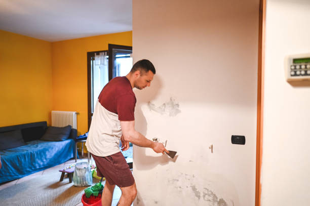 Best Localized Mold Remediation (e.g., coastal areas, humid climates) in Thomasboro, IL